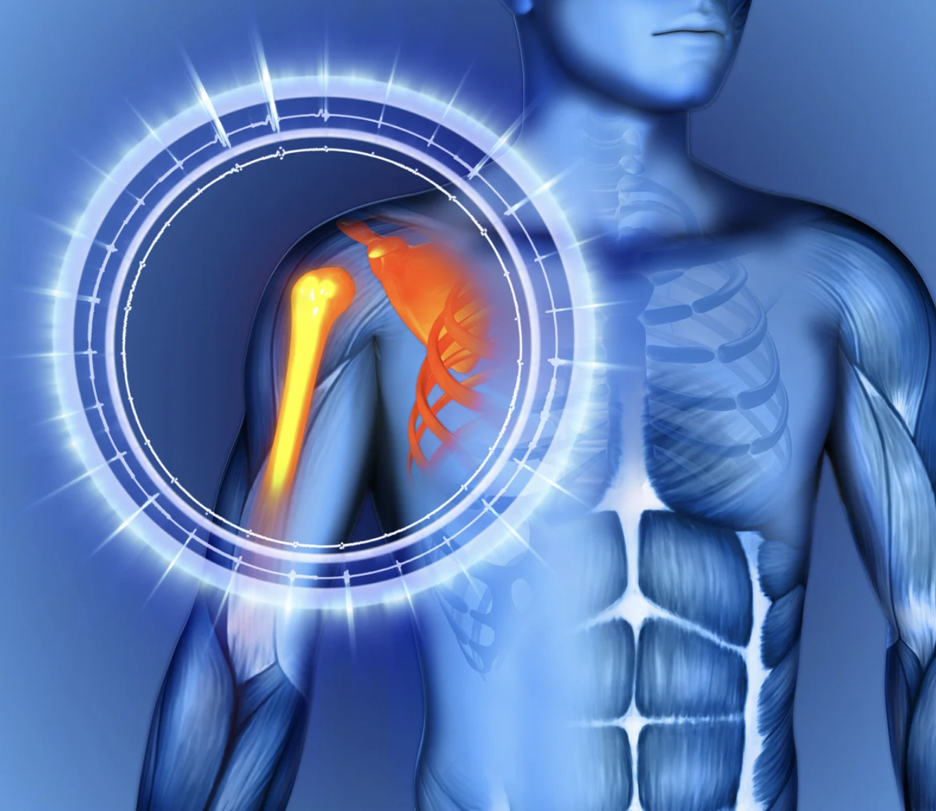 健康・医学 Shoulder Injuries in the Athlete Shoulder Injuries